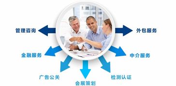 咨詢(xún)服務(wù)行業(yè)一體化管理解決方案